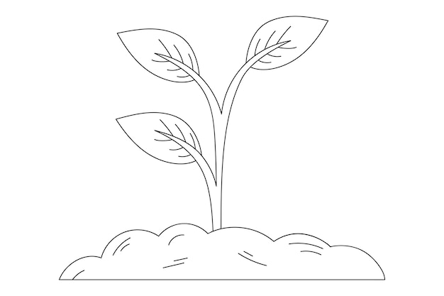 Free vector plant growing hand drawn scribble