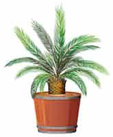 Free vector a plant growing in pot