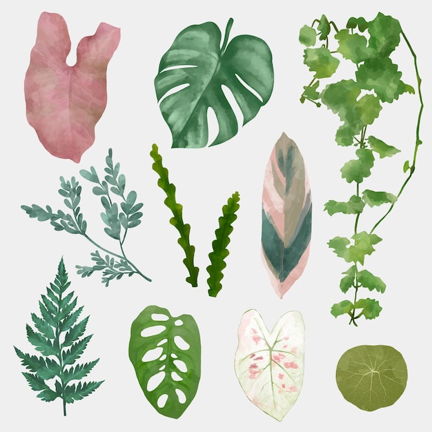 植物の葉要素ベクトルセット