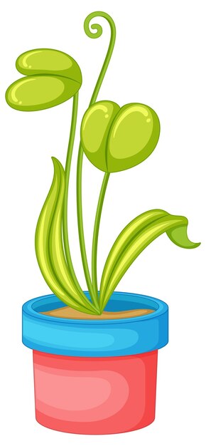 Plant in a pot in cartoon