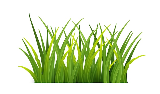 Free vector plant stems for front plan nature illustration isolated green grass realistic detailed fresh green vector grass