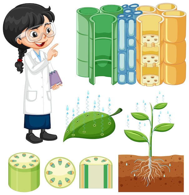Free vector plant structure with student girl