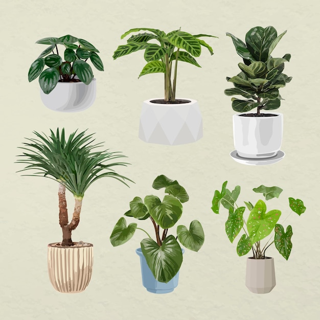 Arte vettoriale di piante, piante d'appartamento in vasi di fiori