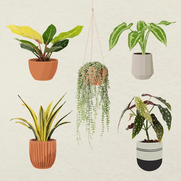 Free vector plant vector art set, houseplant in a flower pot