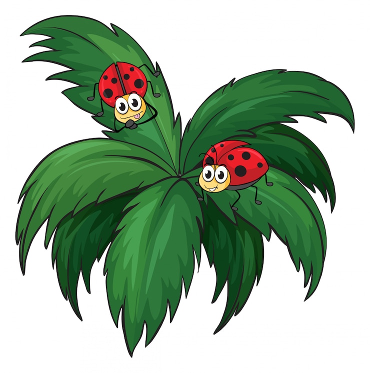 Free Vector a plant with two ladybugs