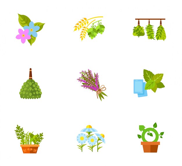 Plants and flowers icon set