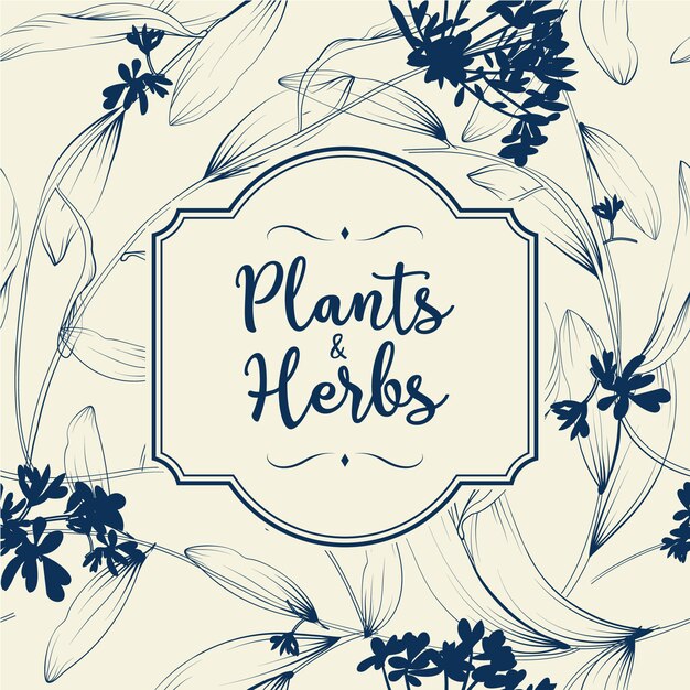 Plants and herbs background. Element for design or invitation card