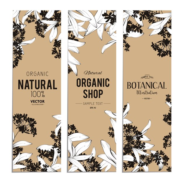 Plants and herbs banners set. Element for design or invitation card