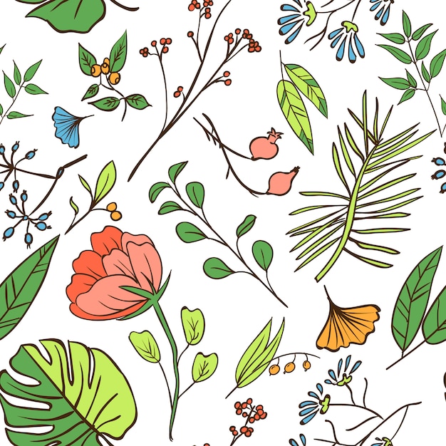 Plants and herbs seamless pattern. Element for design or invitation card