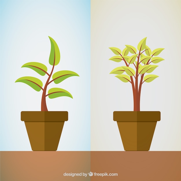 Free vector plants