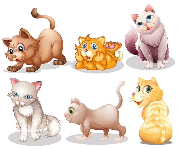 Free vector playful cats