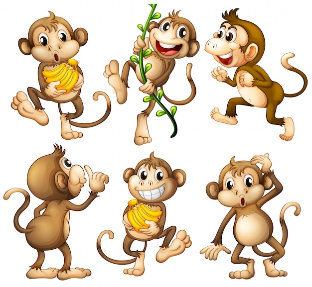 Free vector playful wild monkeys