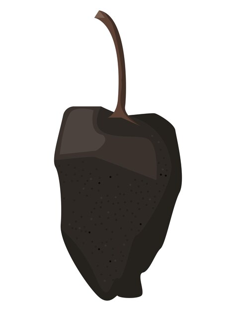 poblano chilli pepper vegetable icon