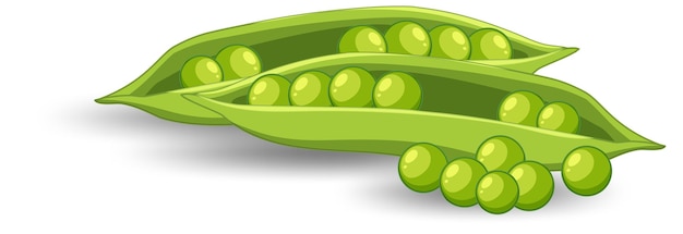 Бесплатное векторное изображение Стручок зеленого горошка на белом фоне