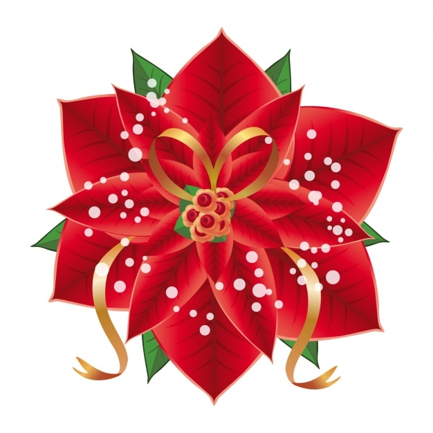 Poinsettia background design