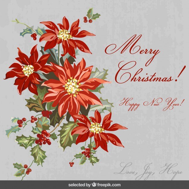 Free Vector poinsettias card