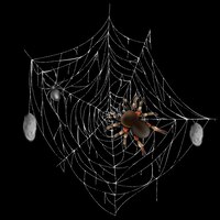 Free vector poisonous spiders on web lace with hunted and wrapped preys 3d realistic vector isolated on black ba