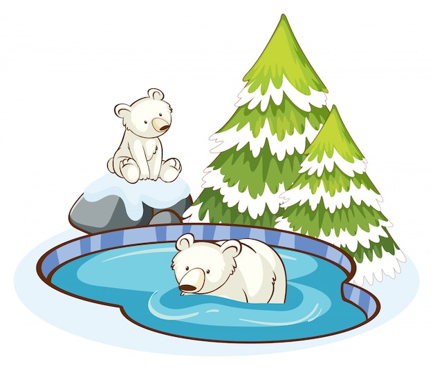 Free vector polar bears in the snow mountain