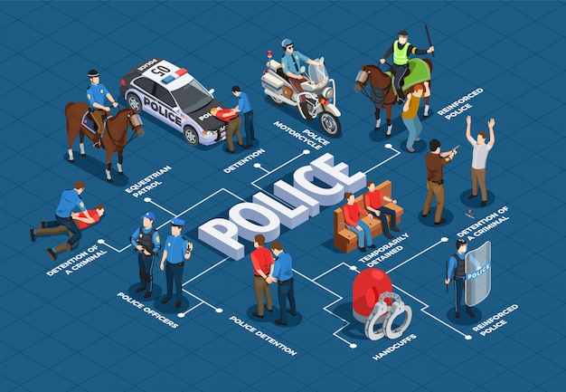 Free vector police isometric flowchart