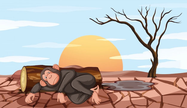 Free vector pollution control scene with monkey and drought