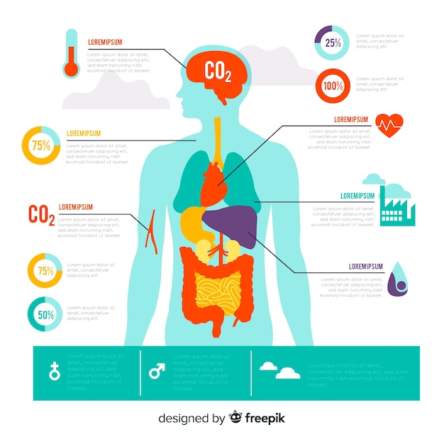 Pollution on human body infographic