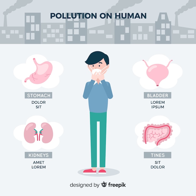 Pollution on human body infographic