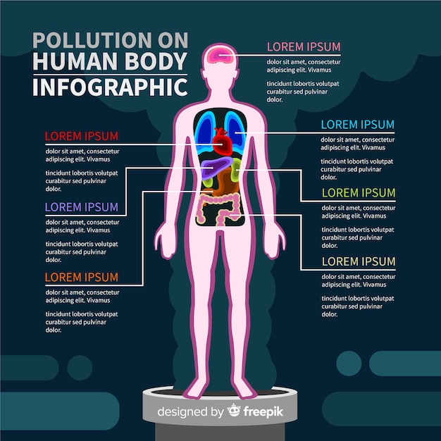 Бесплатное векторное изображение Загрязнение на теле человека инфографики