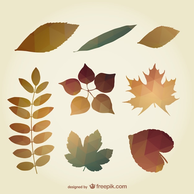 Free vector polygonal autumn leaves