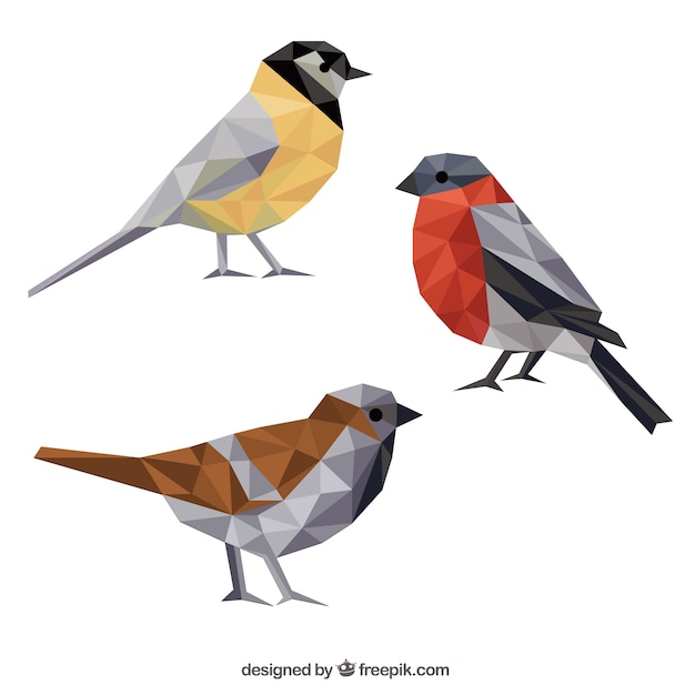 Polygonal birds