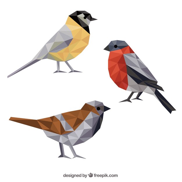 Polygonal birds