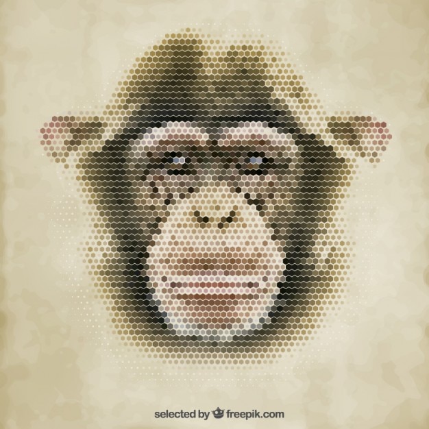 Free vector polygonal monkey