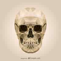 Free vector polygonal skull vector