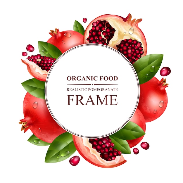 Бесплатное векторное изображение Реалистичная рамка из граната с векторной иллюстрацией символов вкусной здоровой пищи