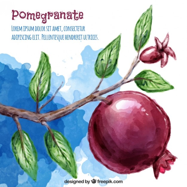 Free vector pomegranate watercolor background