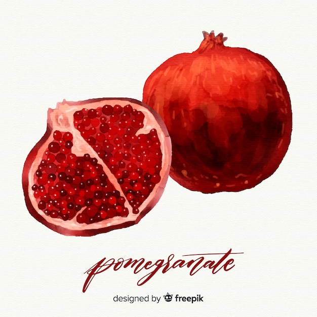 Free vector pomegranate