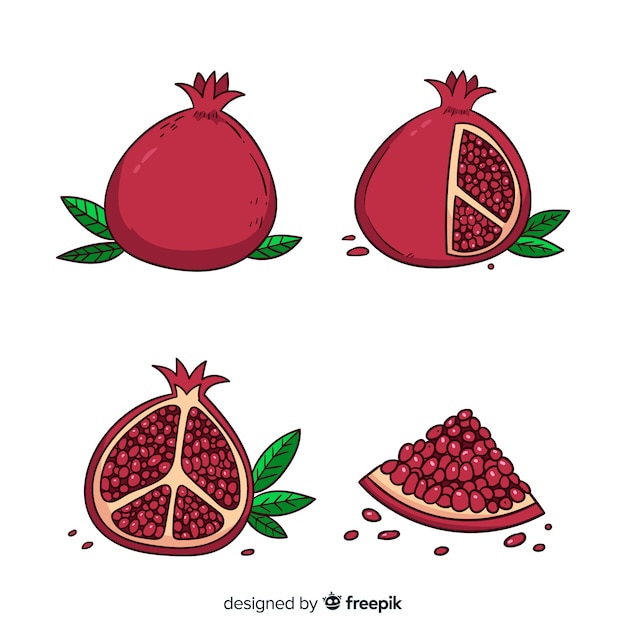 Free vector pomegranates