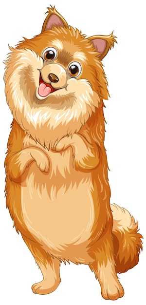 Pomeranian dog cartoon on white background