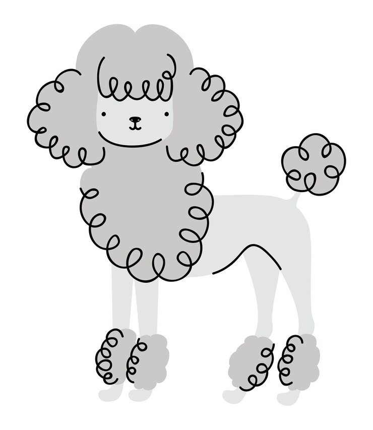 무료 Vector 푸들 개 디자인