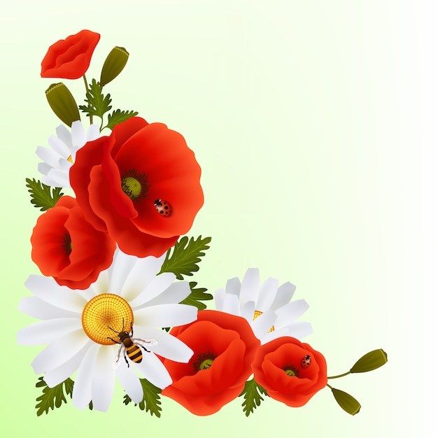 Free vector poppy daisy background