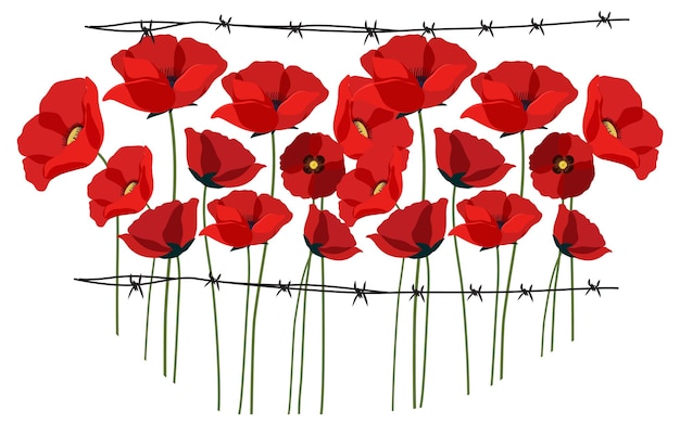 Poppy flowers with spikes fence