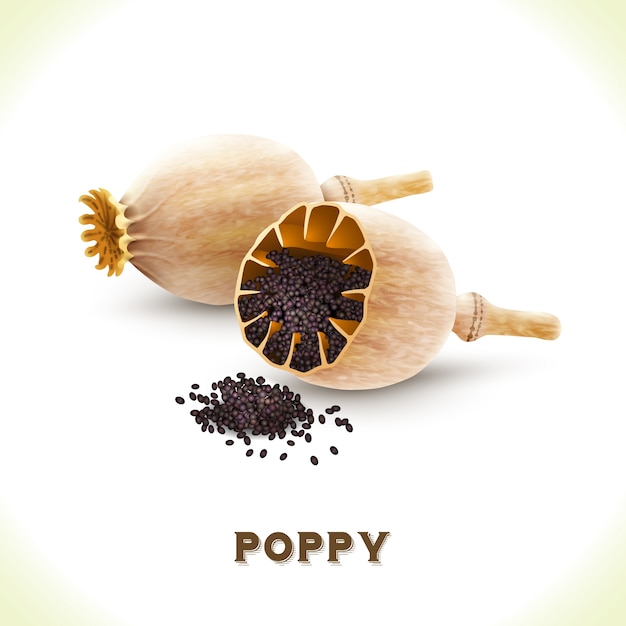 Poppy seeds background design