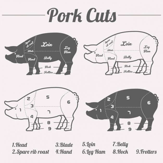 Free vector pork cuts design