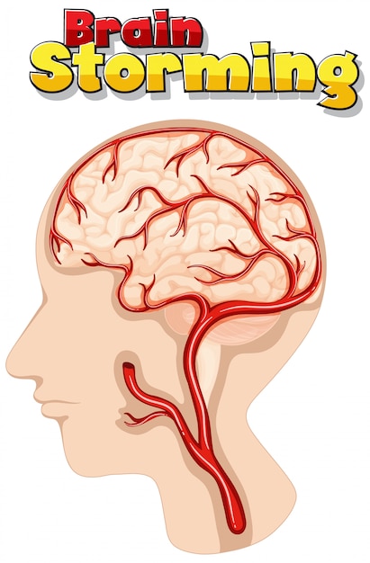 Poster design for brain storming with human brain