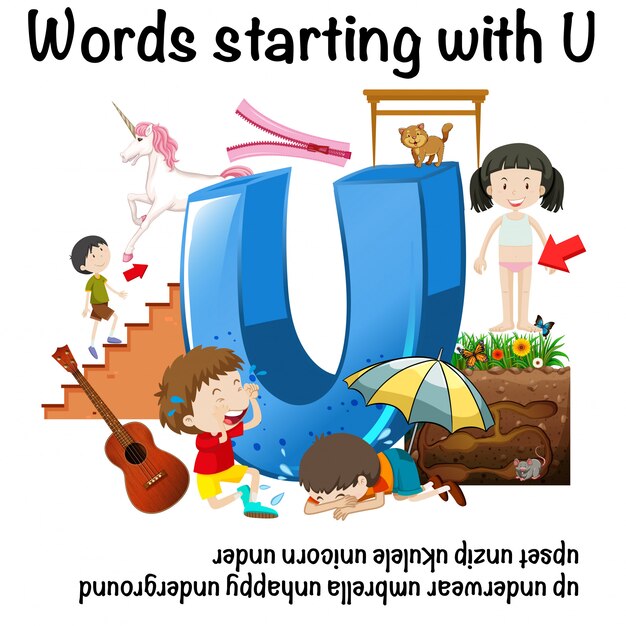 Sイラストで始まる英語の単語 プレミアムベクター