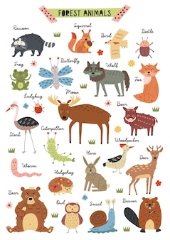 Poster naive woodland forest animals hand drawn creatures in vector illustration for nursery room