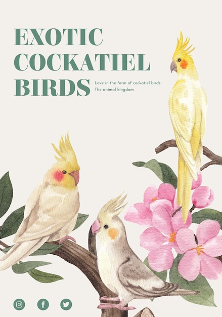 Poster template with cockatiel bird concept,watercolor style