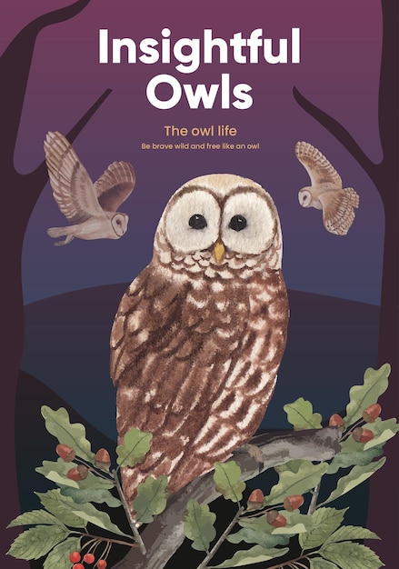 Poster template with owl bird concept,watercolor style