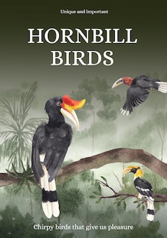 Modelli di poster con uccello bucero in stile acquerello