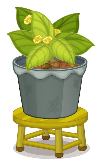 Free vector pot plant