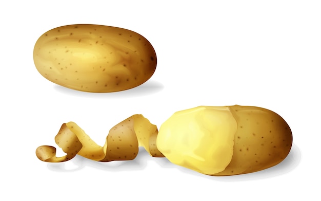 Potato peeled 3D of isolated realistic potato vegetable whole and half peeled